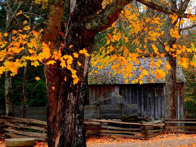 英雄联盟全球(qiú)总決(jué)赛冠亚軍(jūn)決(jué)赛四川打(dǎ)响