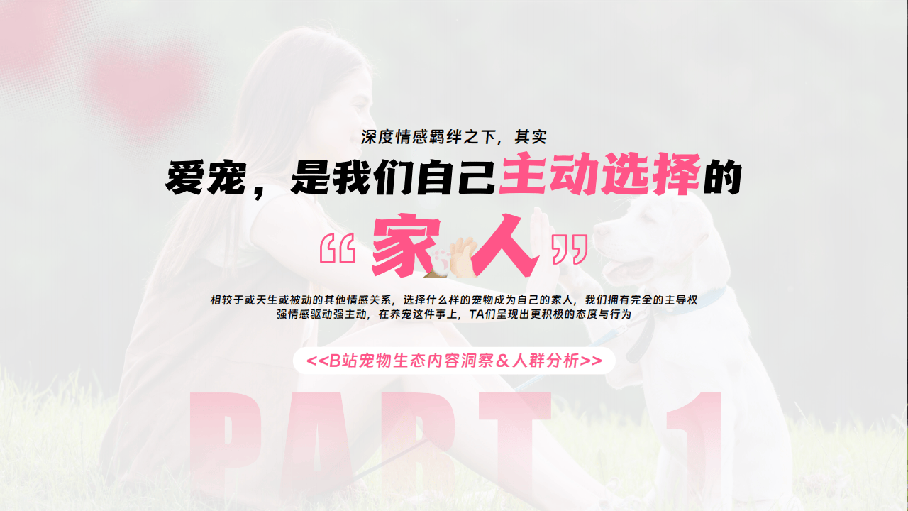 哔哩哔哩运营:哔哩哔哩2025年宠物行业营销通案