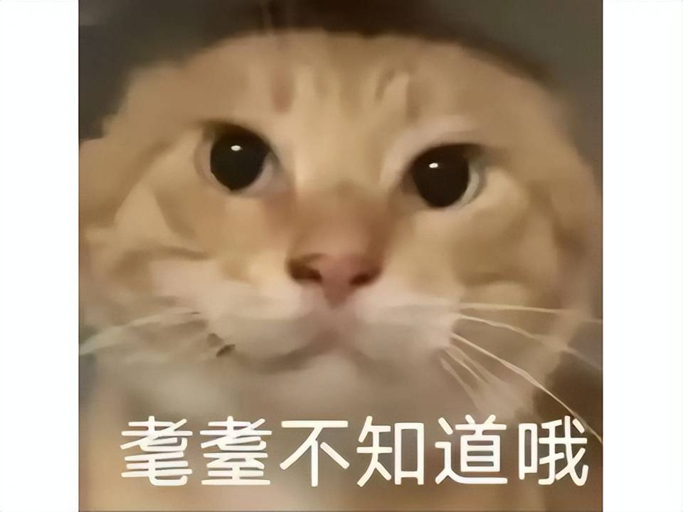 偷……偷家了？魔兽12.0剧情神反转，圣光黑化、虚空军团全员摆烂