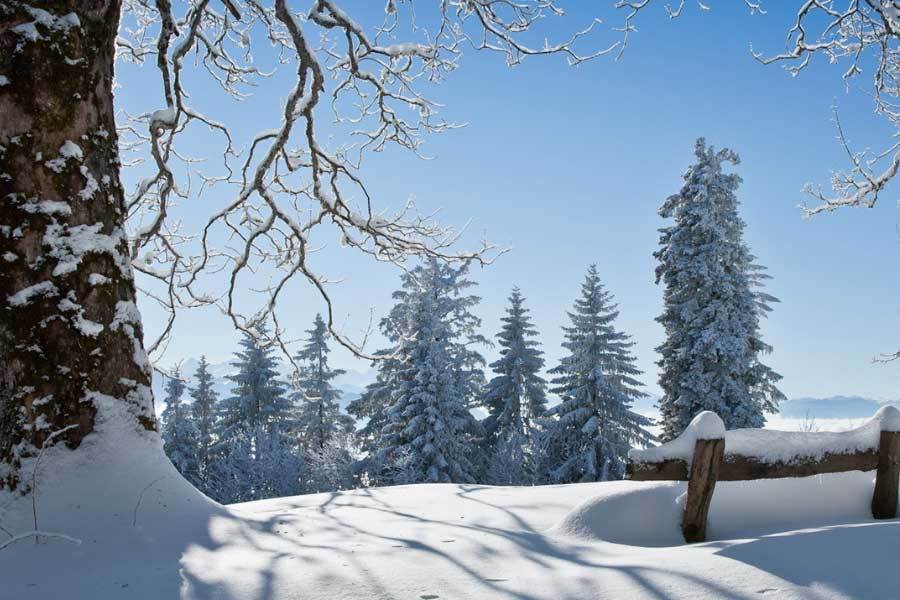 中国电竞战队EDG奪(duó)得全球总决赛冠军